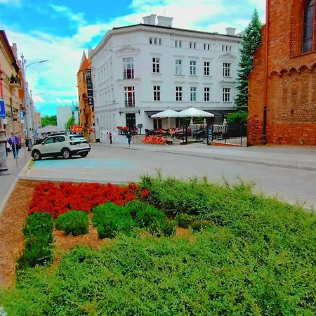 Lawendowy Old Town *